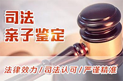 自贡入学DNA亲子鉴定怎么做，自贡升学亲子鉴定机构在哪里