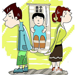 自贡隐私亲子鉴定详细流程及材料，自贡隐私亲子鉴定多少钱