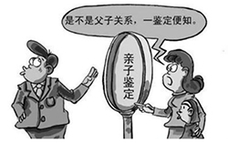 自贡亲子鉴定多久可以拿到报告，自贡个人亲子鉴定办理流程