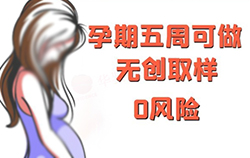 自贡刚怀孕如何鉴定孩子是谁的【专家咨询】