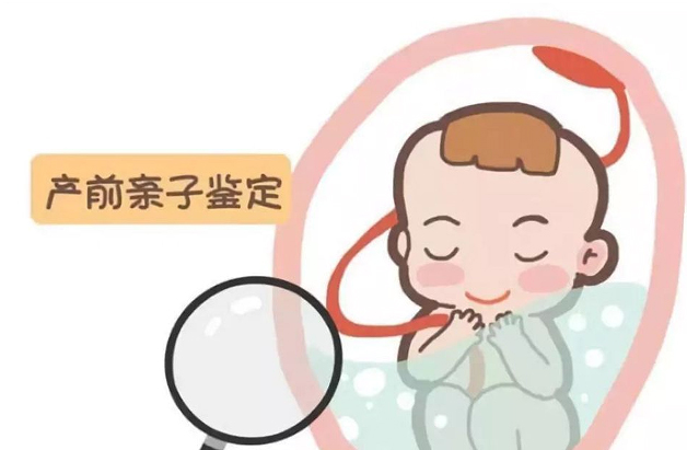 自贡孕期亲子鉴定如何收费,自贡孕期亲子鉴定如何办理