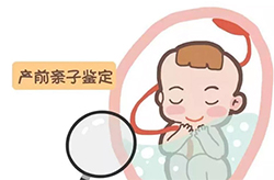 自贡孕期亲子鉴定如何收费，自贡孕期亲子鉴定如何办理