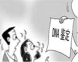 自贡个人亲子鉴定大概多少钱，自贡隐私亲子鉴定怎么做