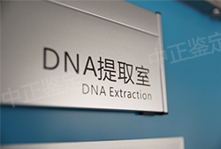 自贡亲子鉴定咨询机构在哪，自贡DNA亲子鉴定收费标准